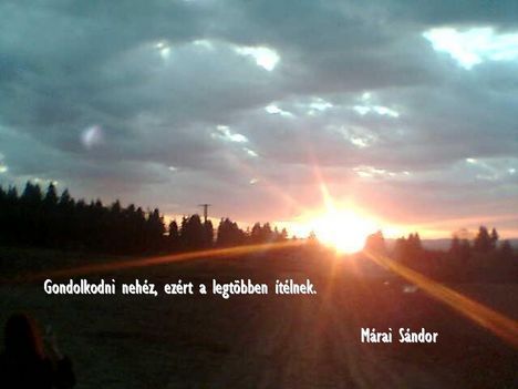 134316_16390_n.jpg